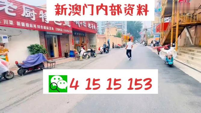 2024澳门天天开好彩大全开奖记录｜精选解释解析落实